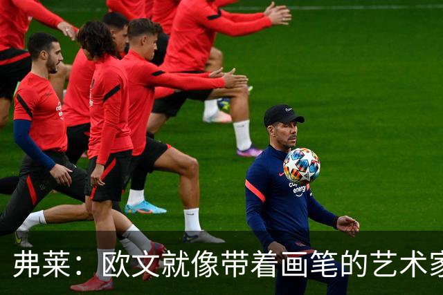 弗莱：欧文就像带着画笔的艺术家 他的进攻动作衔接就像画画一样